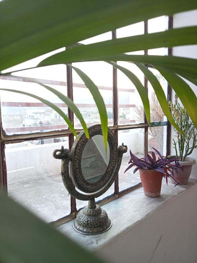 Cocoon Auberge Jaipur Bagian luar foto